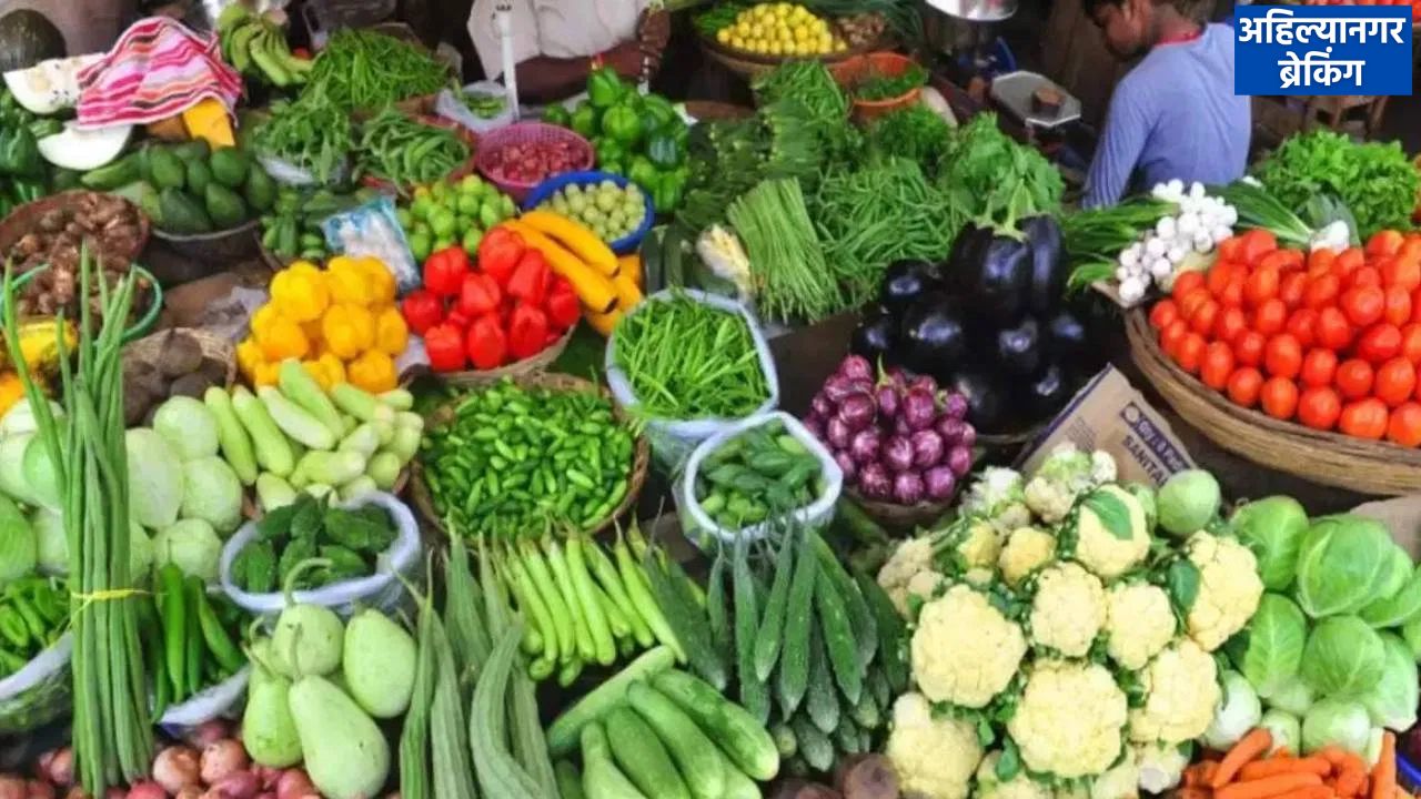 अहिल्यानगर कृषी उत्पन्न बाजार समितीत रविवारी १७६९ क्विंटल विविध भाजीपाल्याची आवक, जाणून घ्या भाजीपाल्यांचे दर
