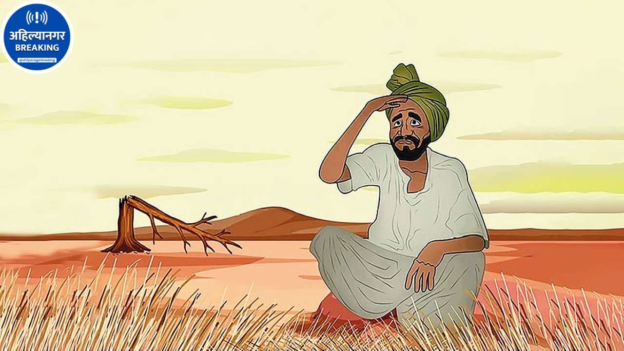 Ahilyanagar मध्ये पावसाने पाठ फिरवली; देवळाली प्रवरा परिसरातील शेतकरी संकटात