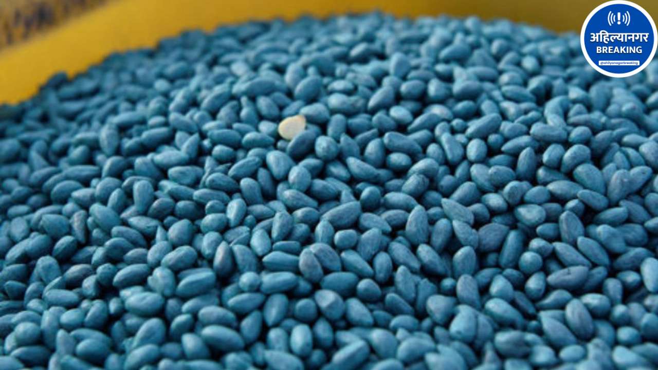 Ahilyanagar : कोपरगावात HTBT कापूस बियाण्यांचे रॅकेट उघड; 60 पाकिटे जप्त