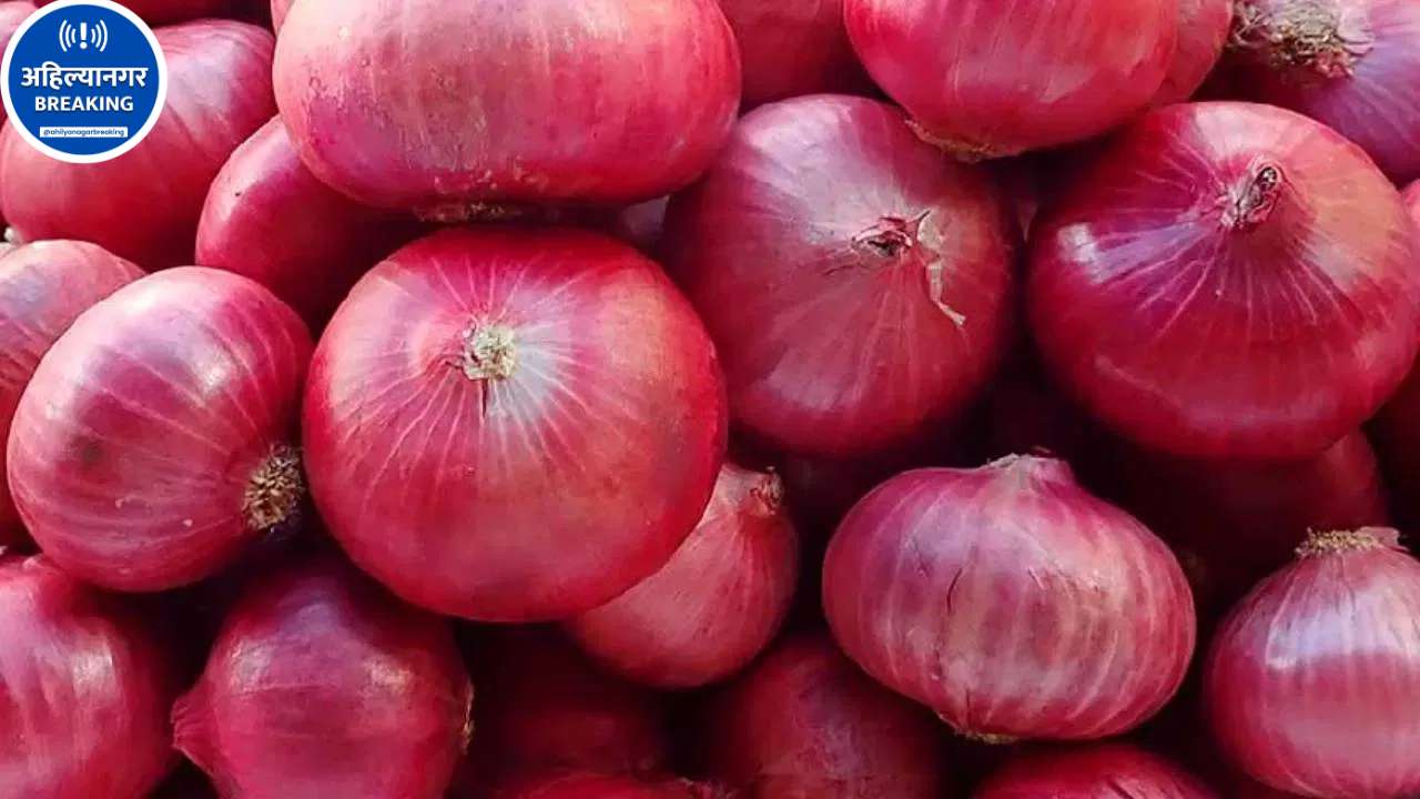 Ahilyanagar Market News : राहाता बाजार समितीत कांद्याची मोठी आवक; चांगल्या कांद्याला 2600 रुपये भाव